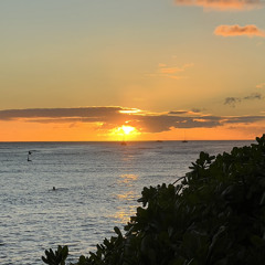 on vacation - nov 2024