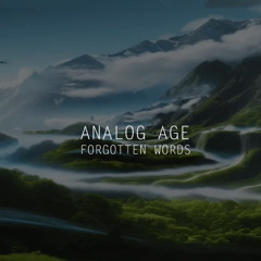Analog Age_Forgotten words_(radio edit)_mena music
