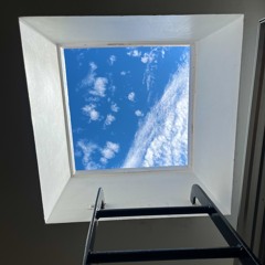 Looking For More