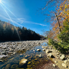 the indifference of synthetic sanctimony