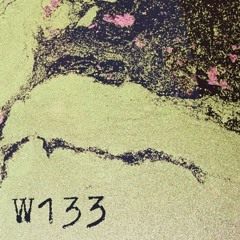 Premiere: Insomniast - Fooling Him [W133 Records]