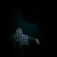 Seeing Ghosts p.rem
