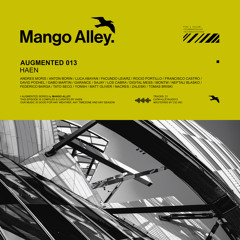 Premiere: Digital Mess - Convergence [Mango Alley]