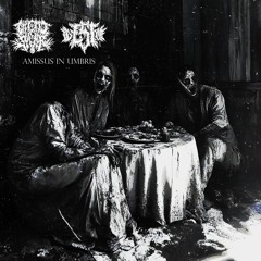 Amissus In Umbris (feat. id est me)