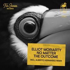 PREMIERE: Elliot Moriarty - No Matter the Outcome (Alberto Hernandez Remix) [For Senses Records]