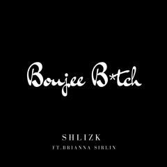 Shlizk ft. Brianna Sirlin - Boujee Bitch