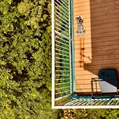 Mid-Afternoon Revibed vol.3