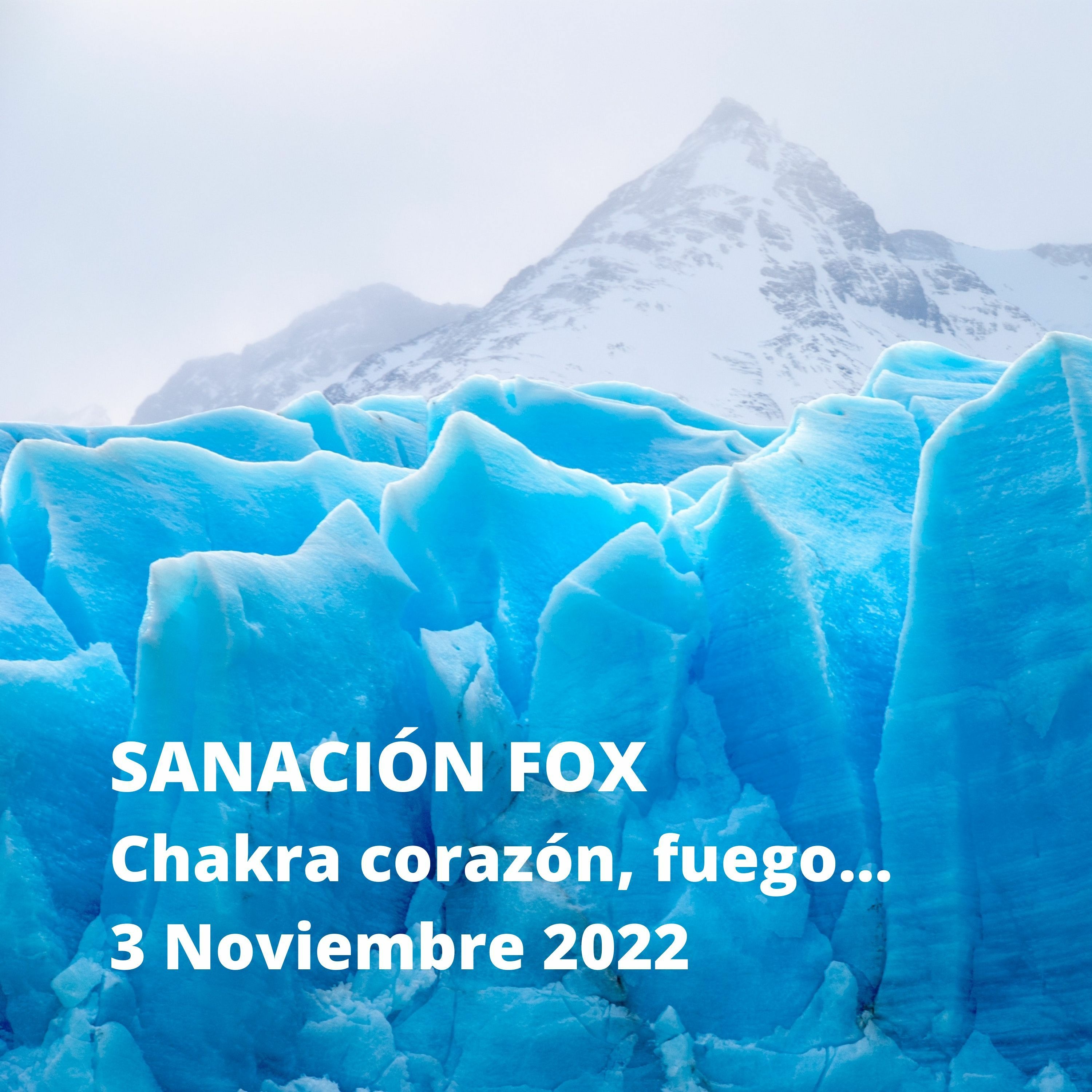 Frances Fox: News From Other Dimensions