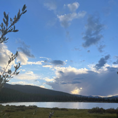 J'PETIT - Rhythms for a Slower Tomorrow