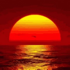Panama Sunsets {Instrumental} 𝑷𝒓𝒐𝒅. 𝑩𝒚 Operation O™