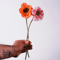 Den Anden Side Af Dig