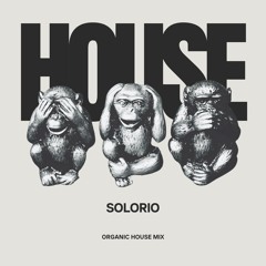SOLORIO's Organic Groove Journey