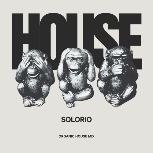 SOLORIO's Organic Groove Journey