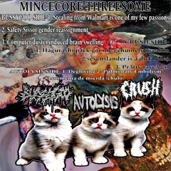 MINCECORE THREESOME (BUSSYGOOxCRUSHxAUTOLYSIS)