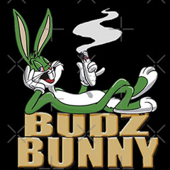 fatboi yorgn - BudzBunny (prod by andrewextendo)