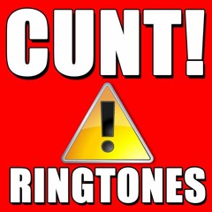 Dj Kobe - YoU ARe A CUnT (outro Version)