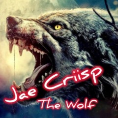 The Wolf 🔥🔥🔥