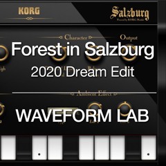Forest in Salzburg - 2020 Dream Edit