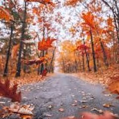 Fall