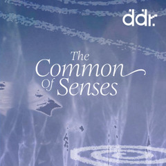 The Common of Senses ~ 07.03.2025