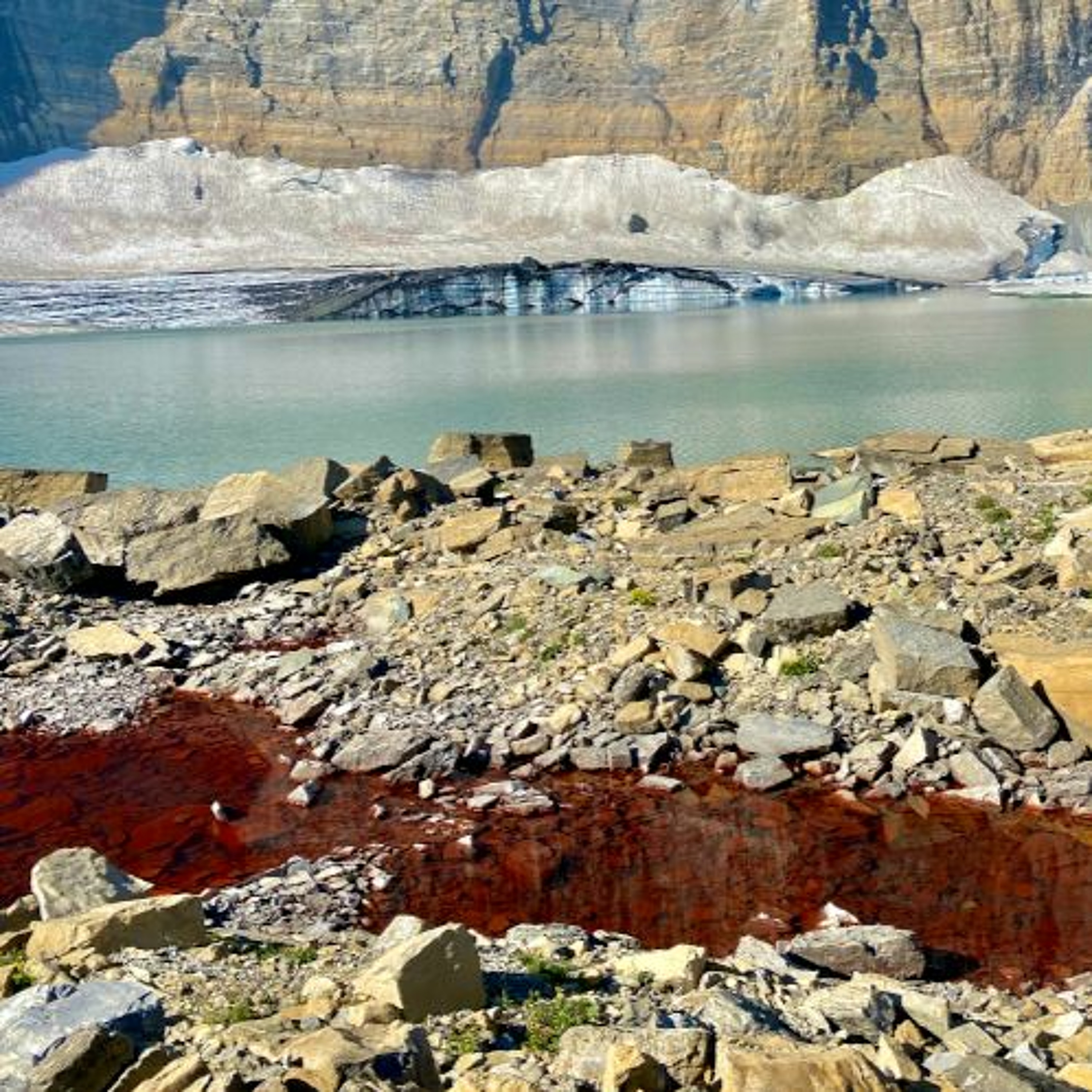 Pink Snow and the Climate, Extreme Weather and the Jet Stream, Saving Bats From Deadly Cold and more episode artwork