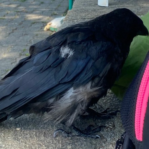 so long, forever once again