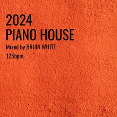 Hot Piano House Mix 2024