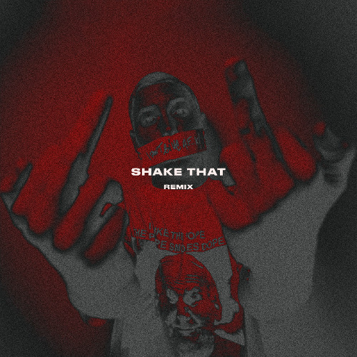 Shake That (Remix)