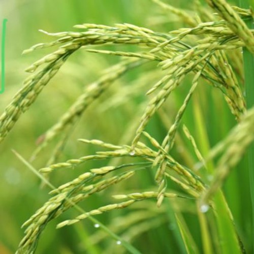 Guilty - 1st finished mix