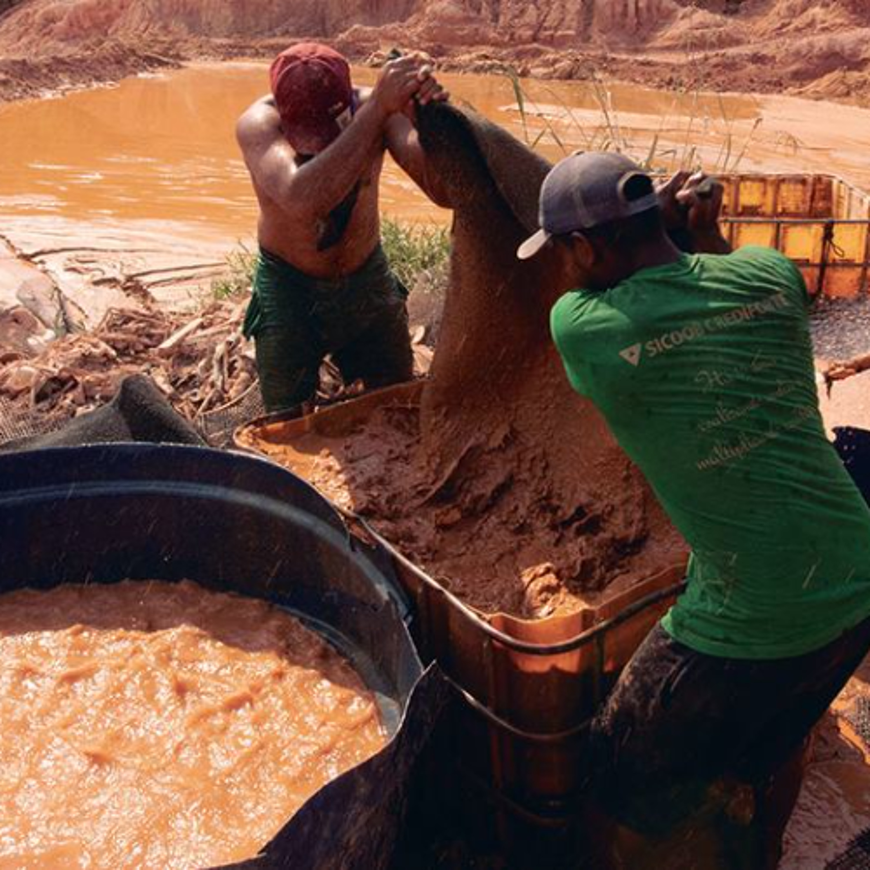 Brasil sofre com conexão entre crimes florestais, tráfico e mineração, diz agência episode artwork