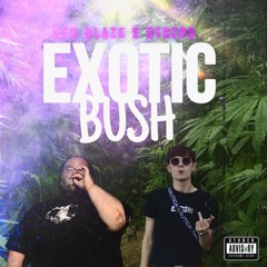 Exotic Bush