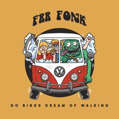 PREMIERE: FRR FONK - Do Birds Dream Of Walking [Lisztomania Records]