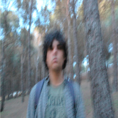 Friends are like birds