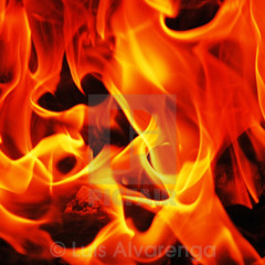 Burning Flames - Chook & Dig