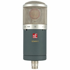 Gemini II - Acoustic Guitar - Strumming