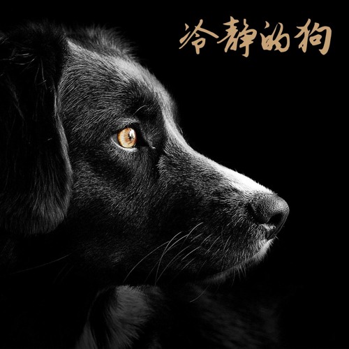Listen To 睡觉的背景音乐by 器乐音乐in 冷静的狗 狗 猫 幼犬 抗焦虑 缓解压力 长笛 萨克斯风 放松的歌曲的钢琴古典音乐 睡觉playlist Online For Free On Soundcloud