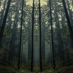 KRYTIKEAH´S FOREST PSYTRANCE CLASSICS
