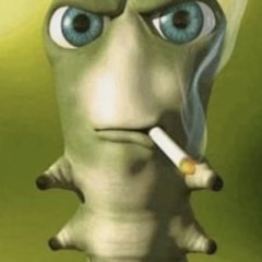 TEK h0us3