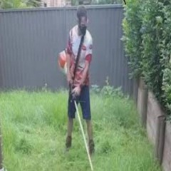 Käärmeet nurmikoss