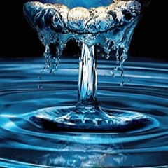 𝐿𝐸𝒵𝒜𝑅𝒟  (BISOU SUCRÉ MUSIC)