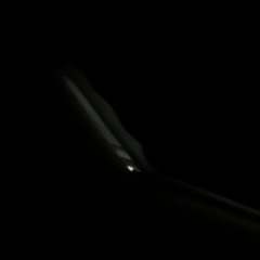 棘-demo-