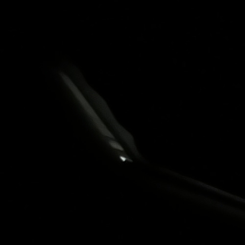 棘-demo-