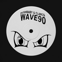 Bushbaby & Clarcq - wave90