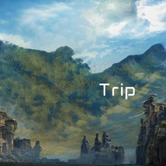Trip