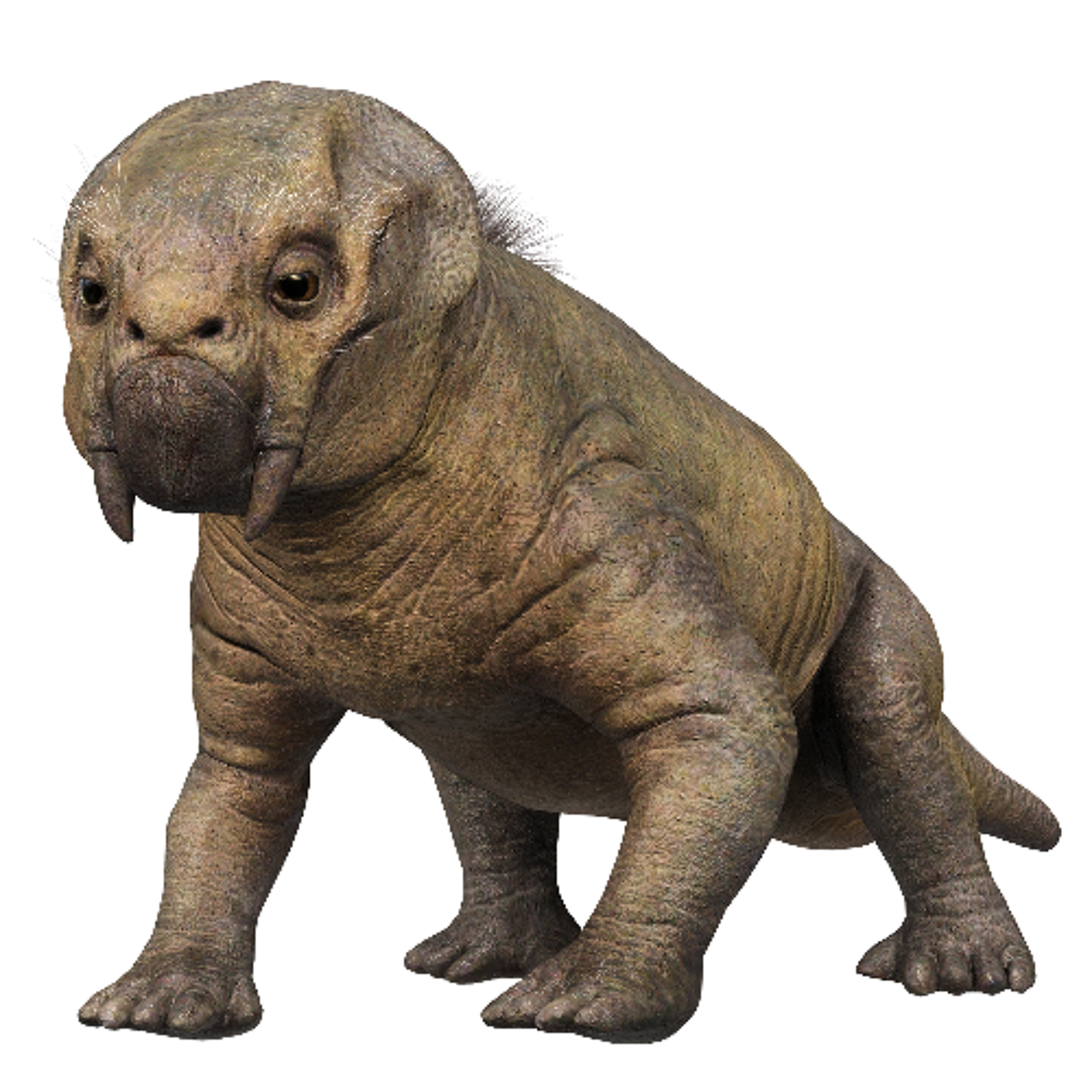 #TPLOD (The Plunge Lines Of Diversity) --- SynTalk