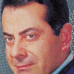 1 - Wardaton Men Damina