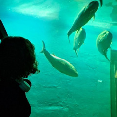 она знает (freestyle) (prod. by greyrock)