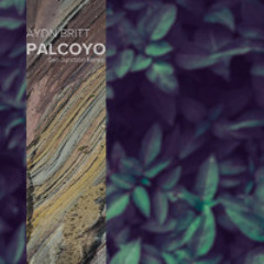 Palcoyo (Ben Junction Remix)