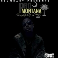 ProMontana Bad Chick Ft #RashaRoyal