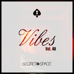 Vibes Vol.40